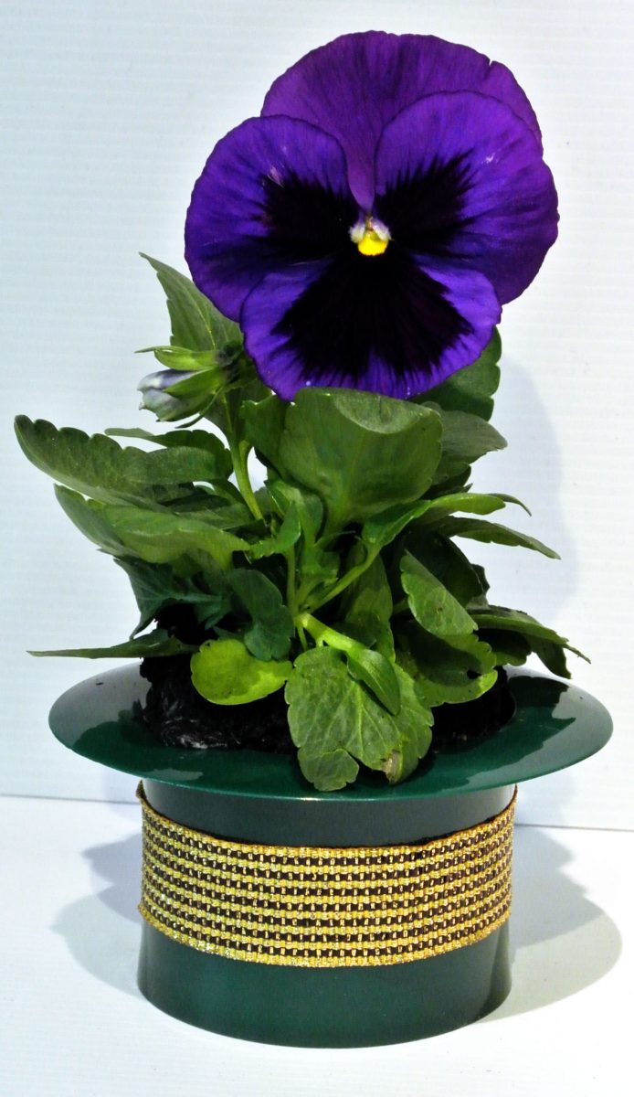 Chapeau vert ou marron – Pot de fleurs – Atouts Imprim